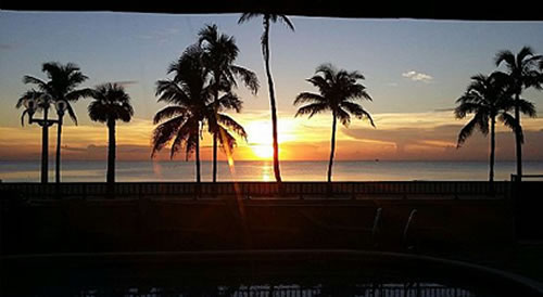 Palm trees shadowed in a sunrise over the water.