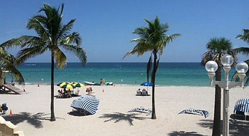 Palm trees on the beach.